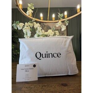 NWT Quince Luxe Goose Down Pillow Standard Size Soft Medium $144 Retail